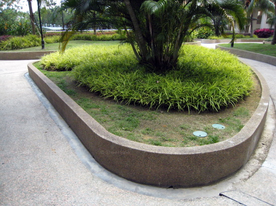 Blk 119C Rivervale Gardens (Sengkang), HDB Executive #313432